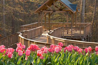 Flowers and bridge at the State Botanical Garden of Georgia