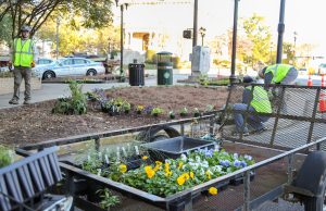 Connect to Protect Downtown Athens Georgia Planting
