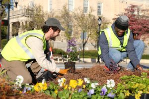 Connect to Protect Downtown Athens Georgia Planting