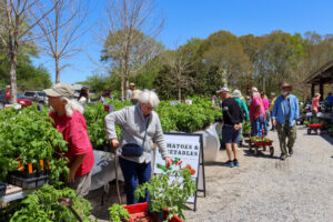 Shoppers choose from a wide selection of plants at the spring plant sale in 2022. 