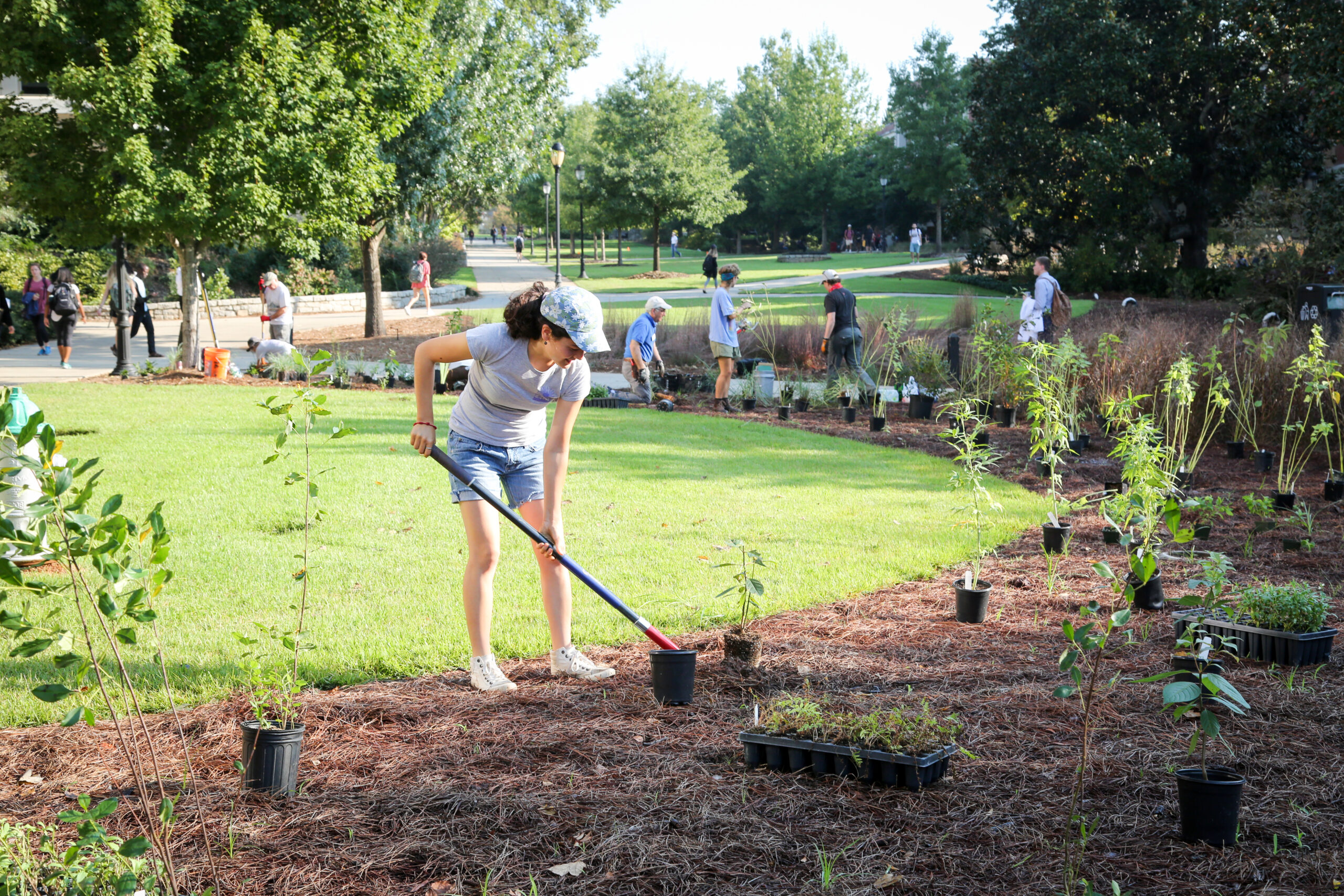 University of Georgia Students install a Connect to Protect garden on UGA’s South Campus.