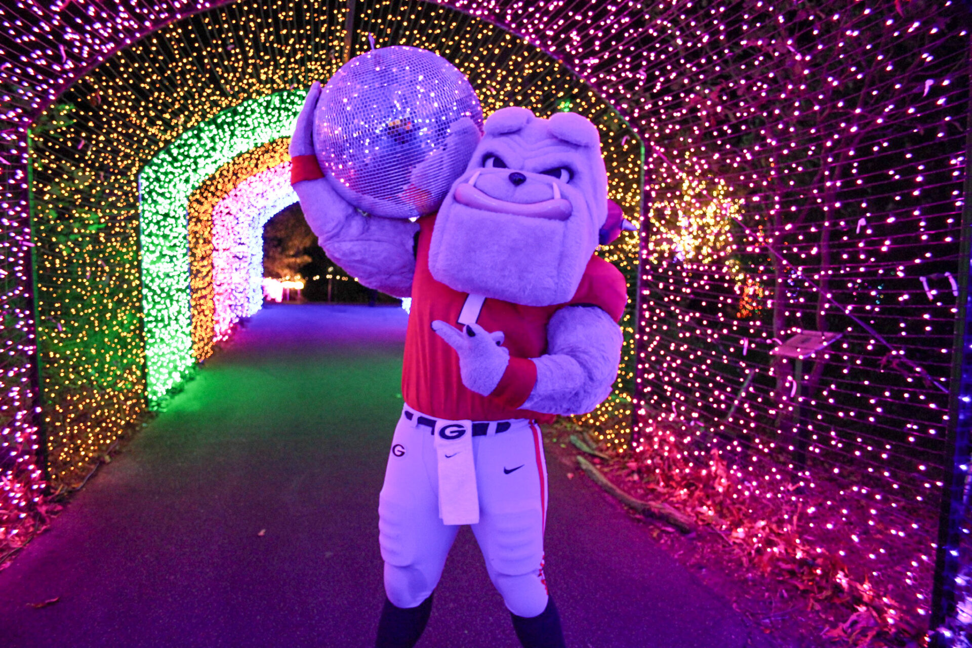 discover-the-magic-of-winter-wonderlights-beginning-this-november