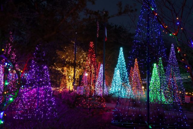 Colorful trees illuminated with lights glow at Winter WonderLights